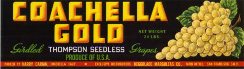 Coachella Gold